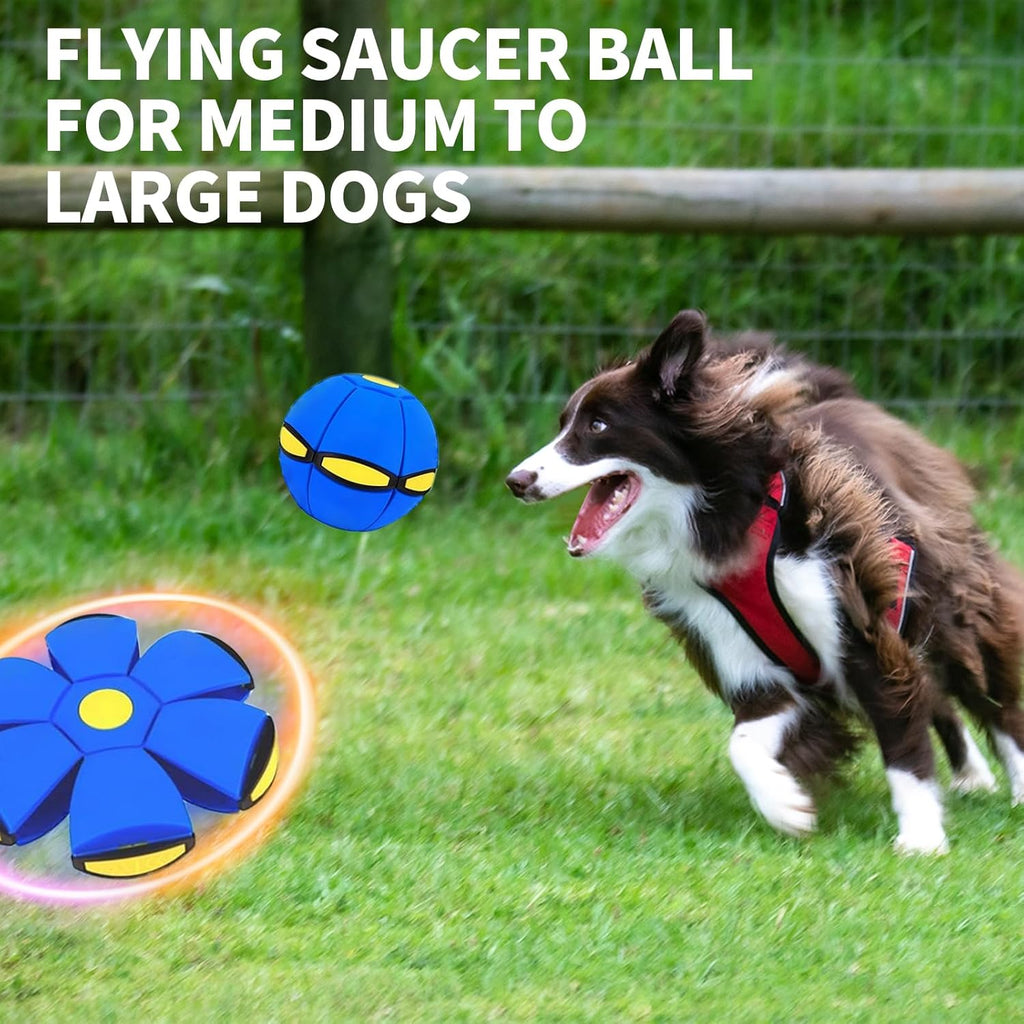 🔥Kids’ Magic Metaball — bouncy ball & flying saucer for family and pets