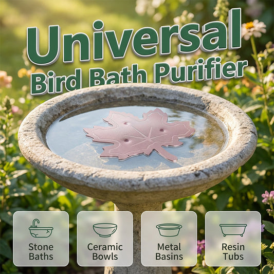 ⏳ LAST DAY: 50% OFF! 🐦 Bird Bath Cleaner 🌿 Fresh, Clear Water for Happy Garden Birds