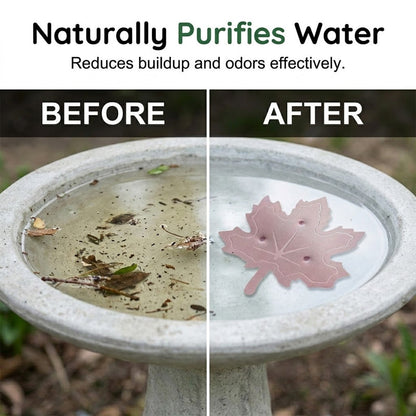 ⏳ LAST DAY: 50% OFF! 🐦 Bird Bath Cleaner 🌿 Fresh, Clear Water for Happy Garden Birds